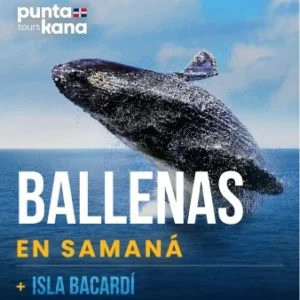 Tour Ballenas en Samaná + Isla Bacardí