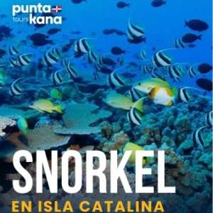 Tour Snorkel en Isla Catalina