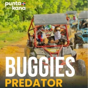 Buggies Predator Punta Cana
