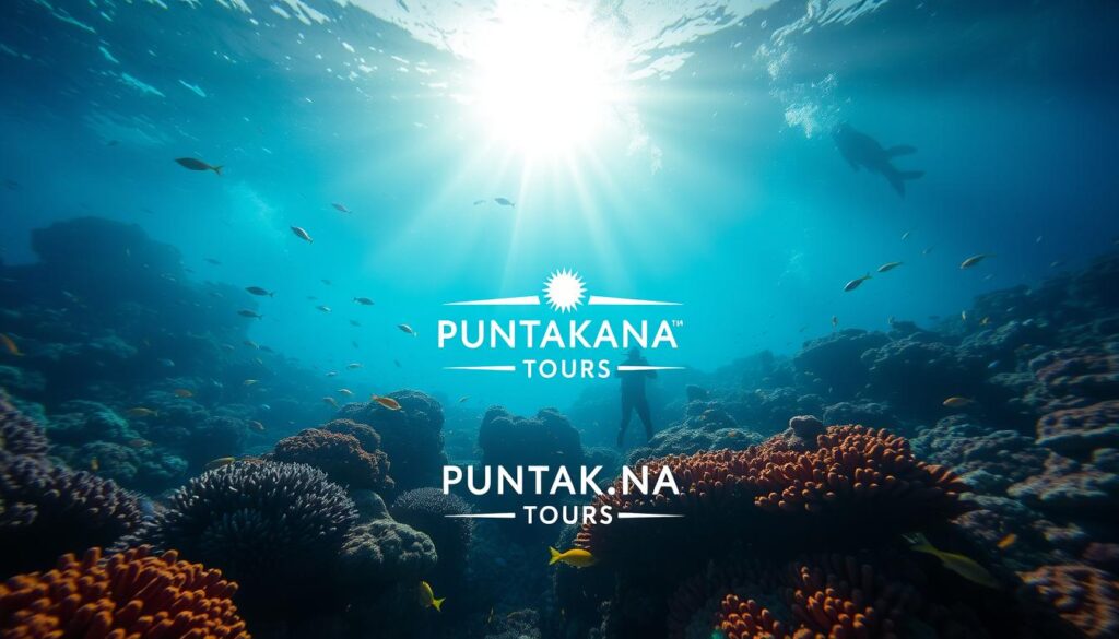 reasons to dive in Punta Cana