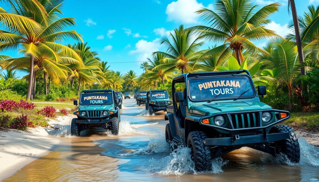 unique buggies tours